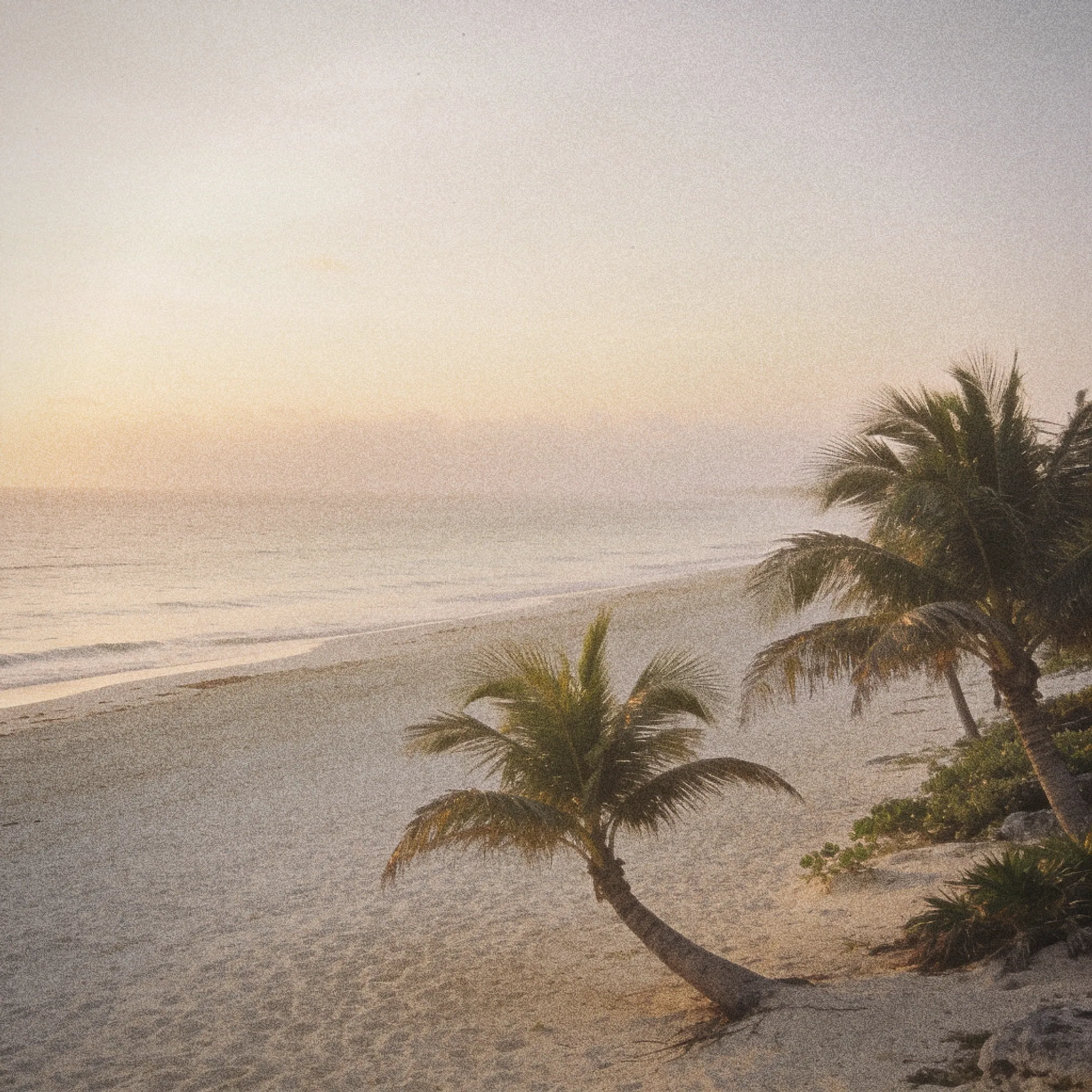 Pulsia expedition — Tulum